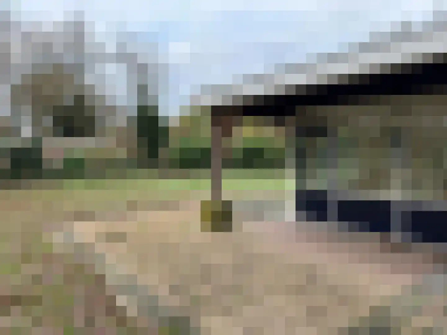 Houtvester Jansenweg 2 90 Gasselte thumbnail 25