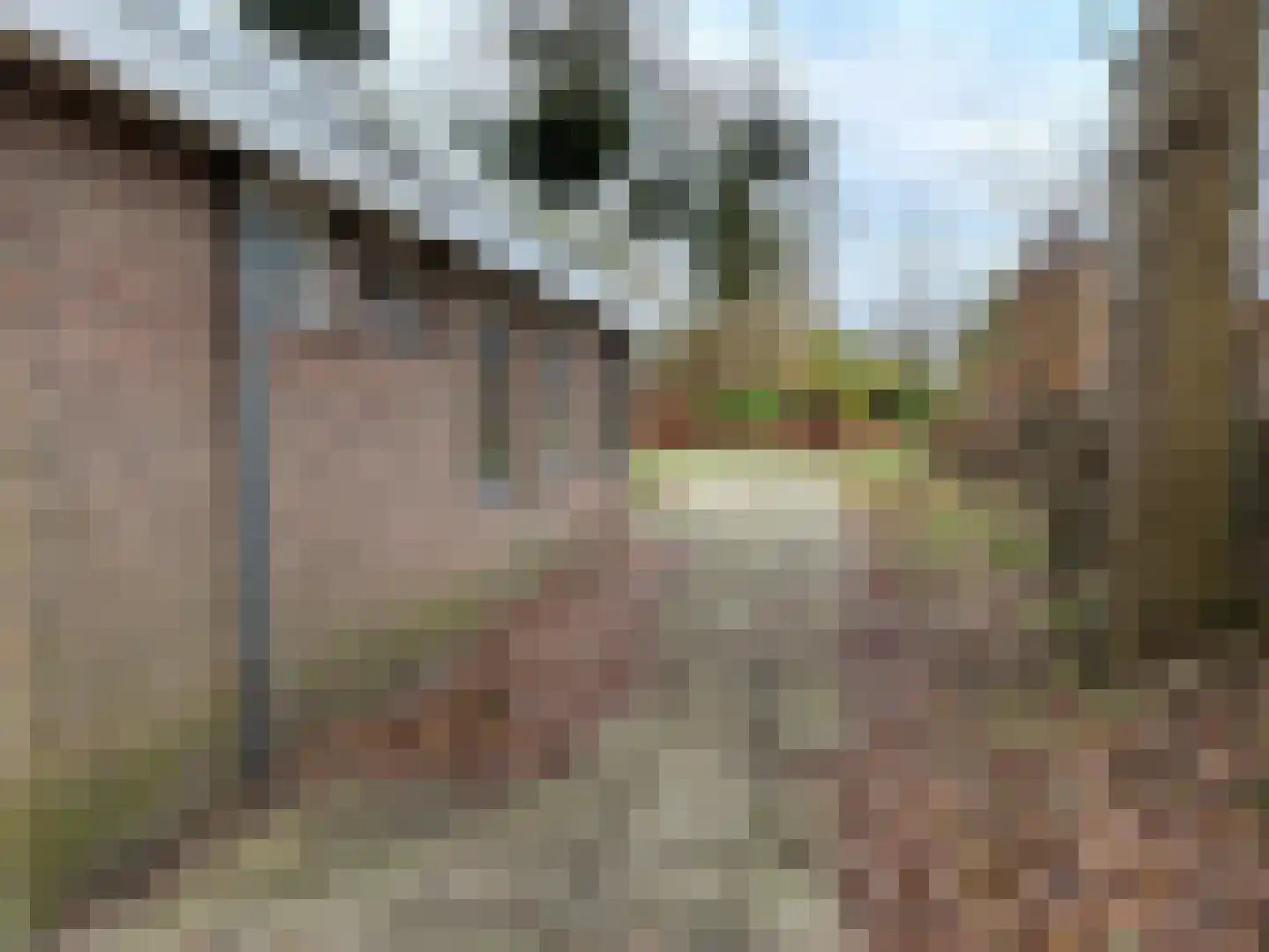 Houtvester Jansenweg 2 90 Gasselte thumbnail 26