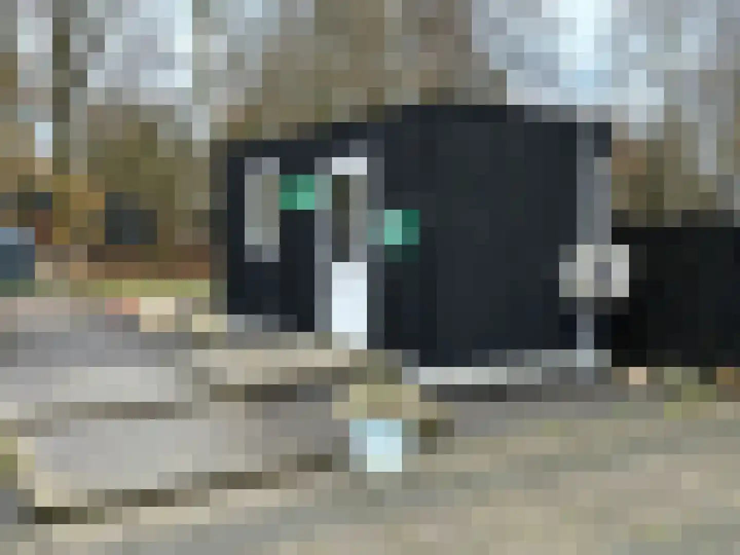 Houtvester Jansenweg 2 90 Gasselte thumbnail 37