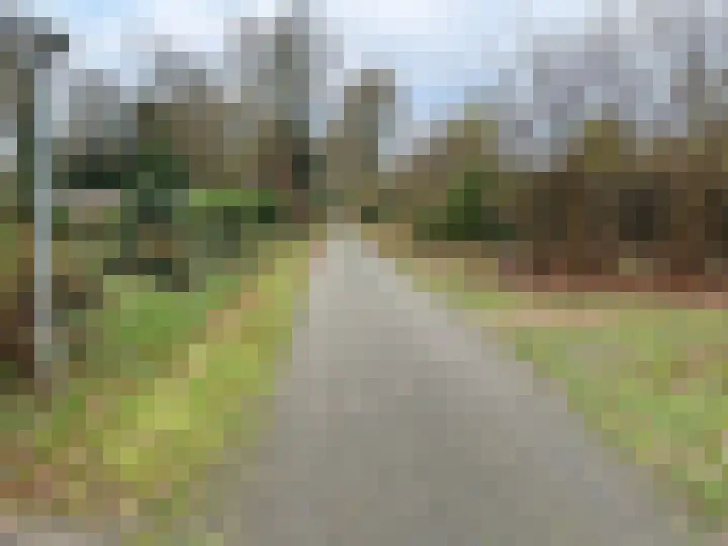 Houtvester Jansenweg 2 90 Gasselte thumbnail 5