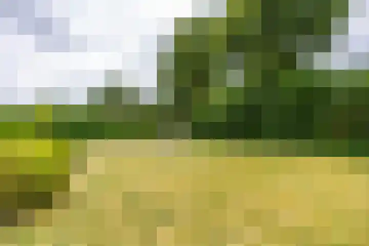 Houtvester Jansenweg 2 92 Gasselte thumbnail 23