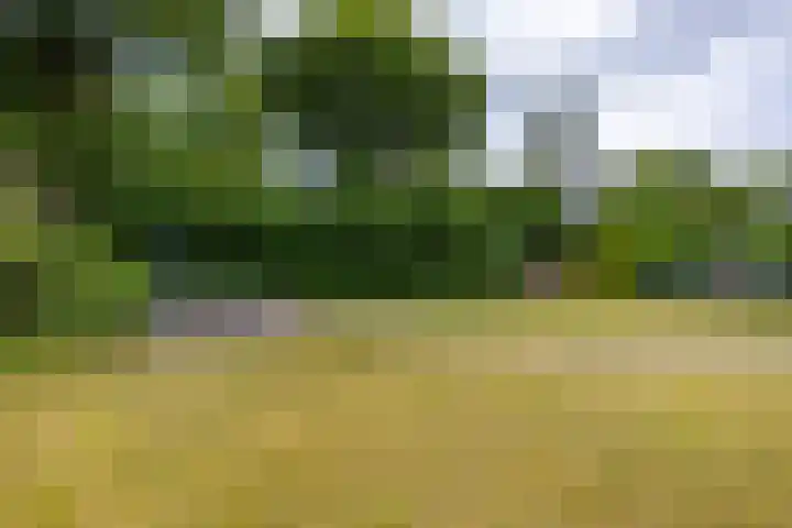 Houtvester Jansenweg 2 92 Gasselte thumbnail 24