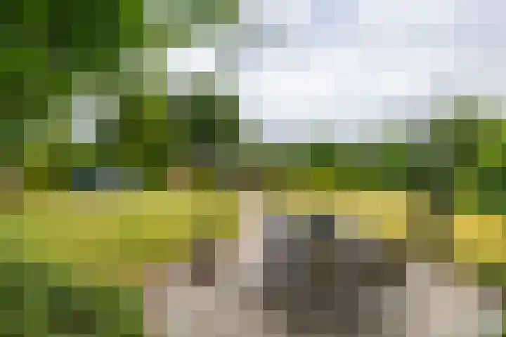 Houtvester Jansenweg 2 92 Gasselte thumbnail 25
