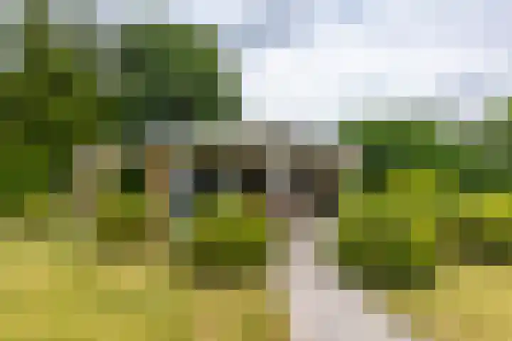 Houtvester Jansenweg 2 92 Gasselte thumbnail 26