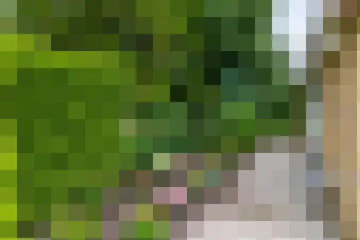 Houtvester Jansenweg 2 92 Gasselte thumbnail 27