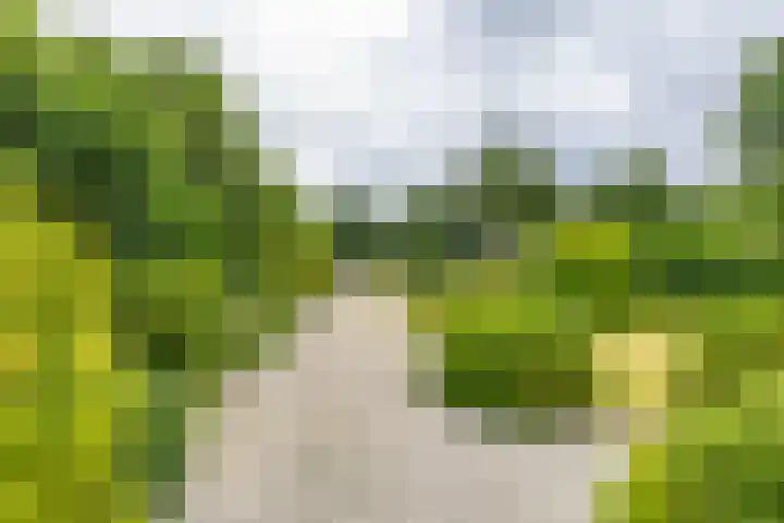 Houtvester Jansenweg 2 92 Gasselte thumbnail 28