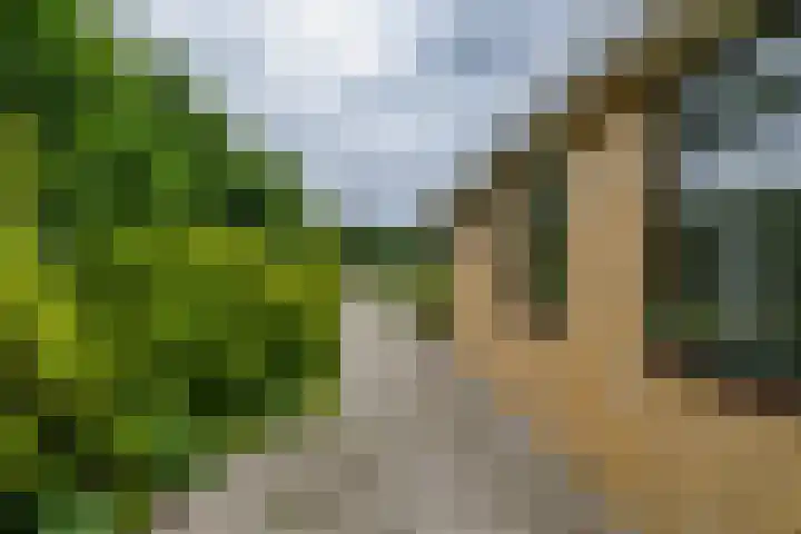 Houtvester Jansenweg 2 92 Gasselte thumbnail 29