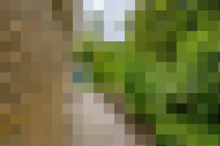 Houtvester Jansenweg 2 92 Gasselte thumbnail 30