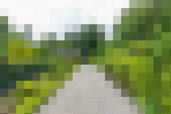 Houtvester Jansenweg 2 92 Gasselte thumbnail 31