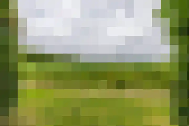 Houtvester Jansenweg 2 92 Gasselte thumbnail 32