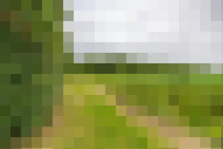 Houtvester Jansenweg 2 92 Gasselte thumbnail 33