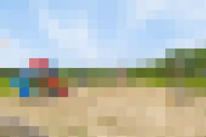 Houtvester Jansenweg 2 92 Gasselte thumbnail 34