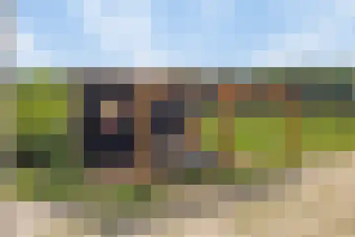 Houtvester Jansenweg 2 92 Gasselte thumbnail 35