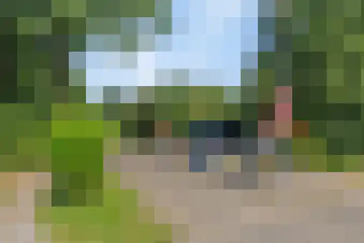 Houtvester Jansenweg 2 92 Gasselte thumbnail 38
