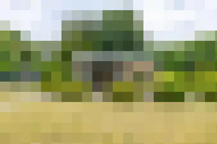 Houtvester Jansenweg 2 92 Gasselte thumbnail 5