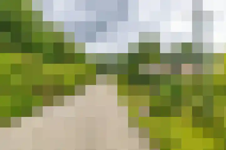 Houtvester Jansenweg 2 92 Gasselte thumbnail 7