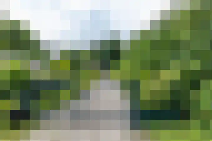 Houtvester Jansenweg 2 92 Gasselte thumbnail 8