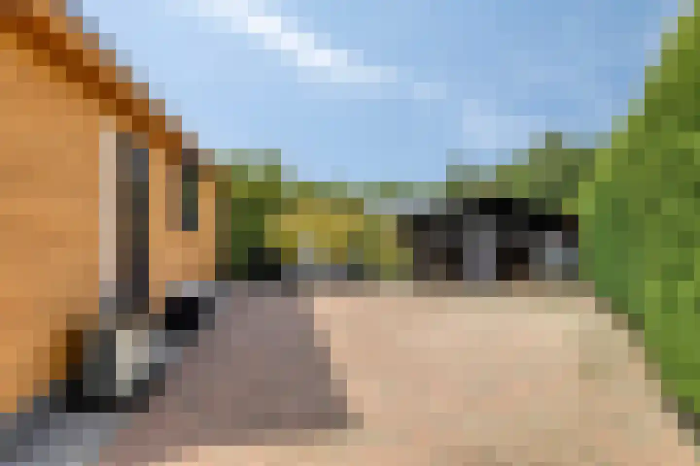 Houtvester Jansenweg 2 b 2 Gasselte thumbnail 38