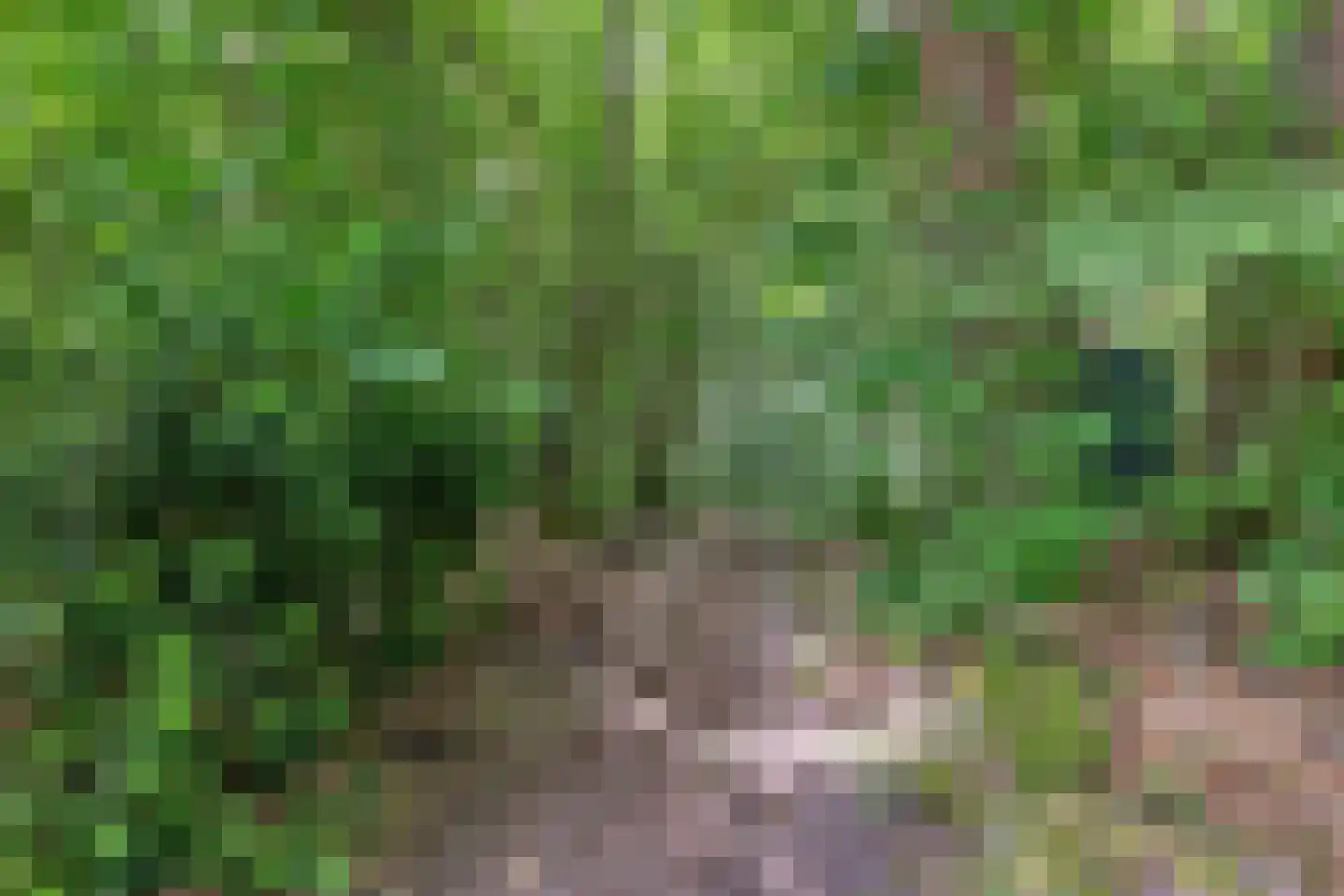 Houtvester Jansenweg 2 b 2 Gasselte thumbnail 41