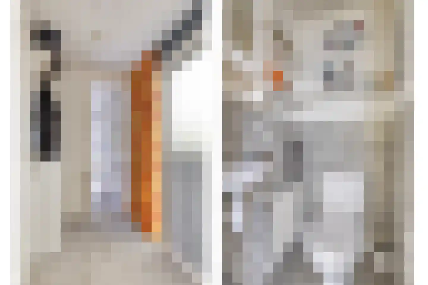 Houtvester Jansenweg 2 b 2 Gasselte thumbnail 9