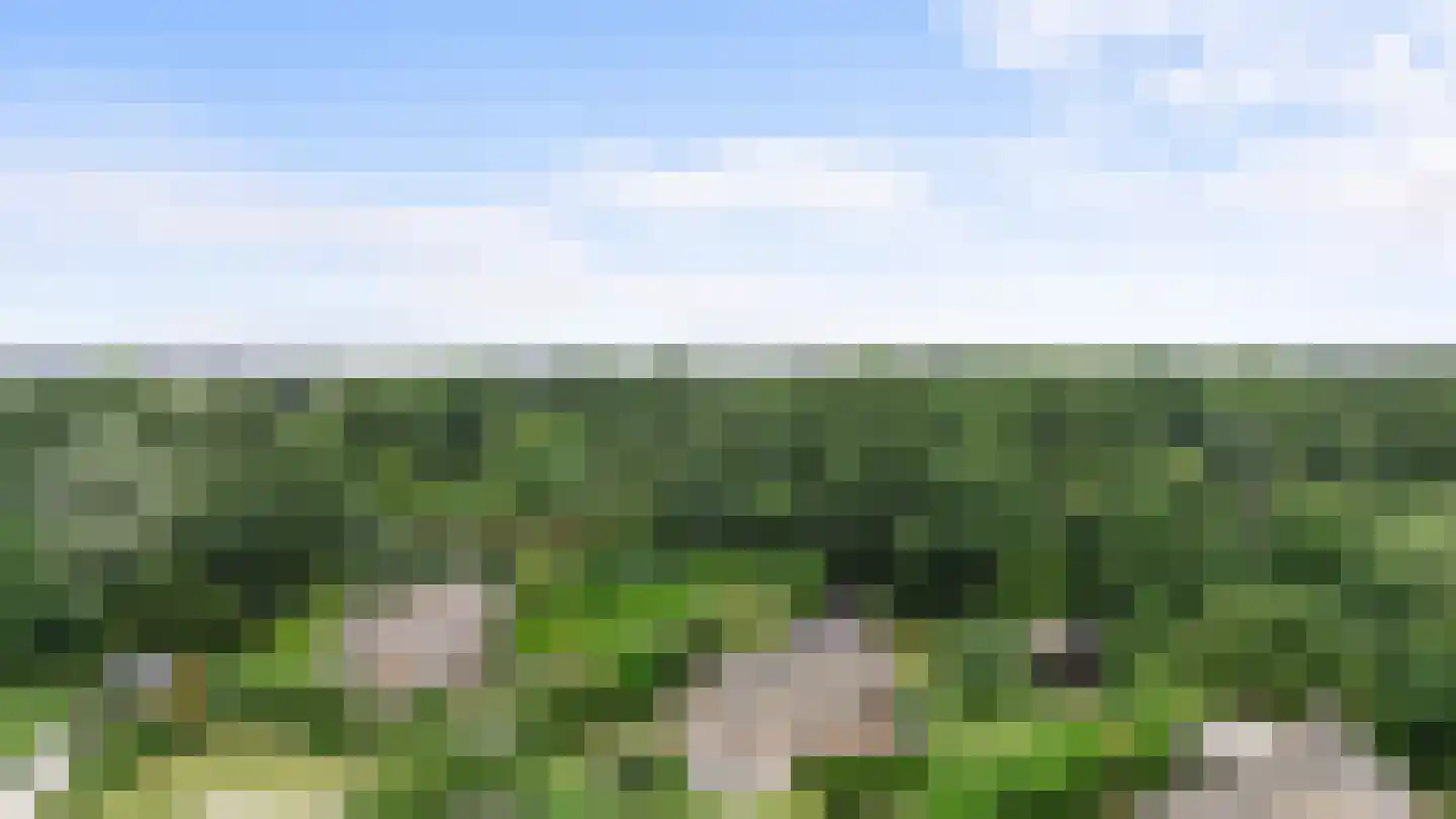 Houtvester Jansenweg 2 c 12 Gasselte thumbnail 44