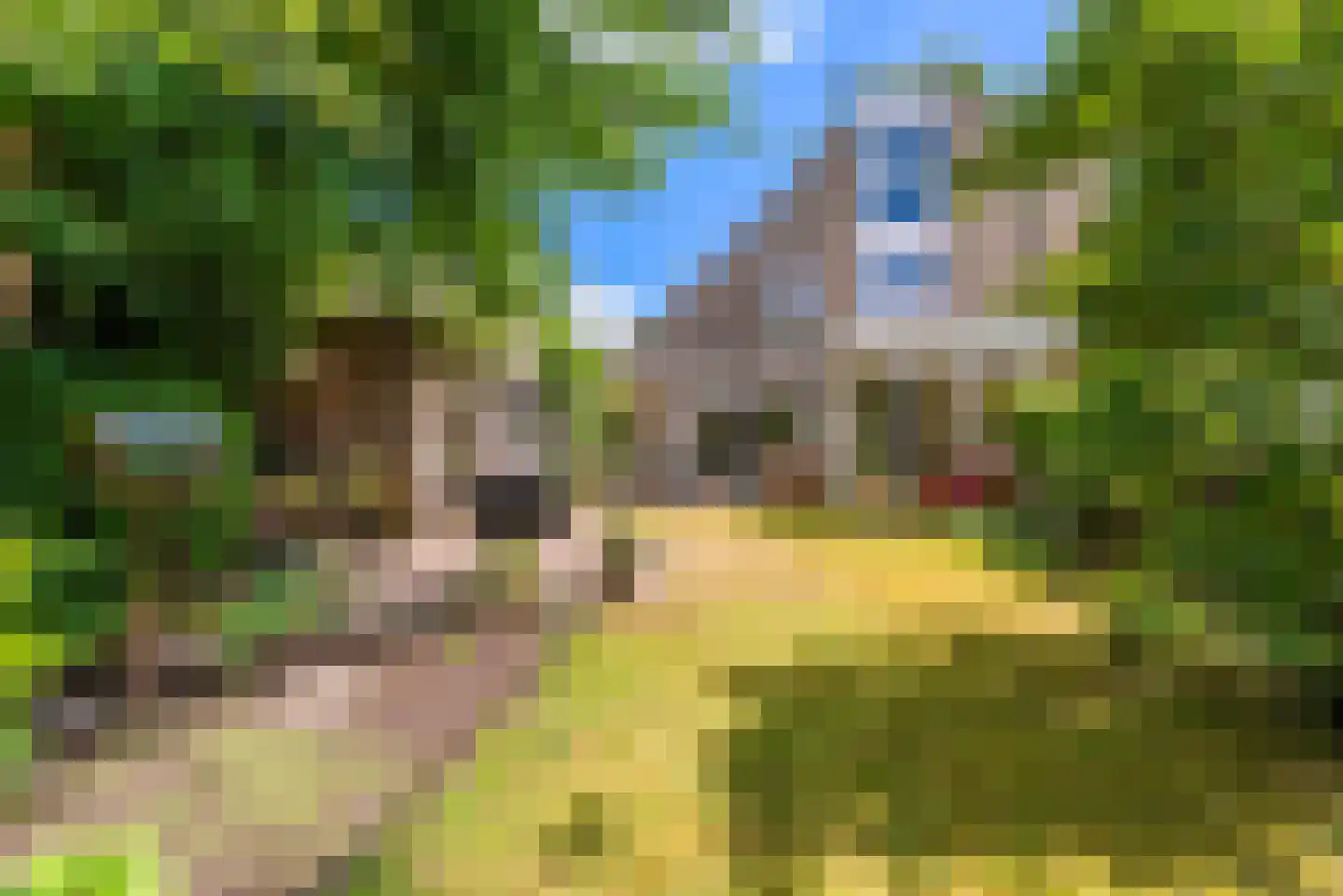 Houtvesterlaan 13 Veenendaal