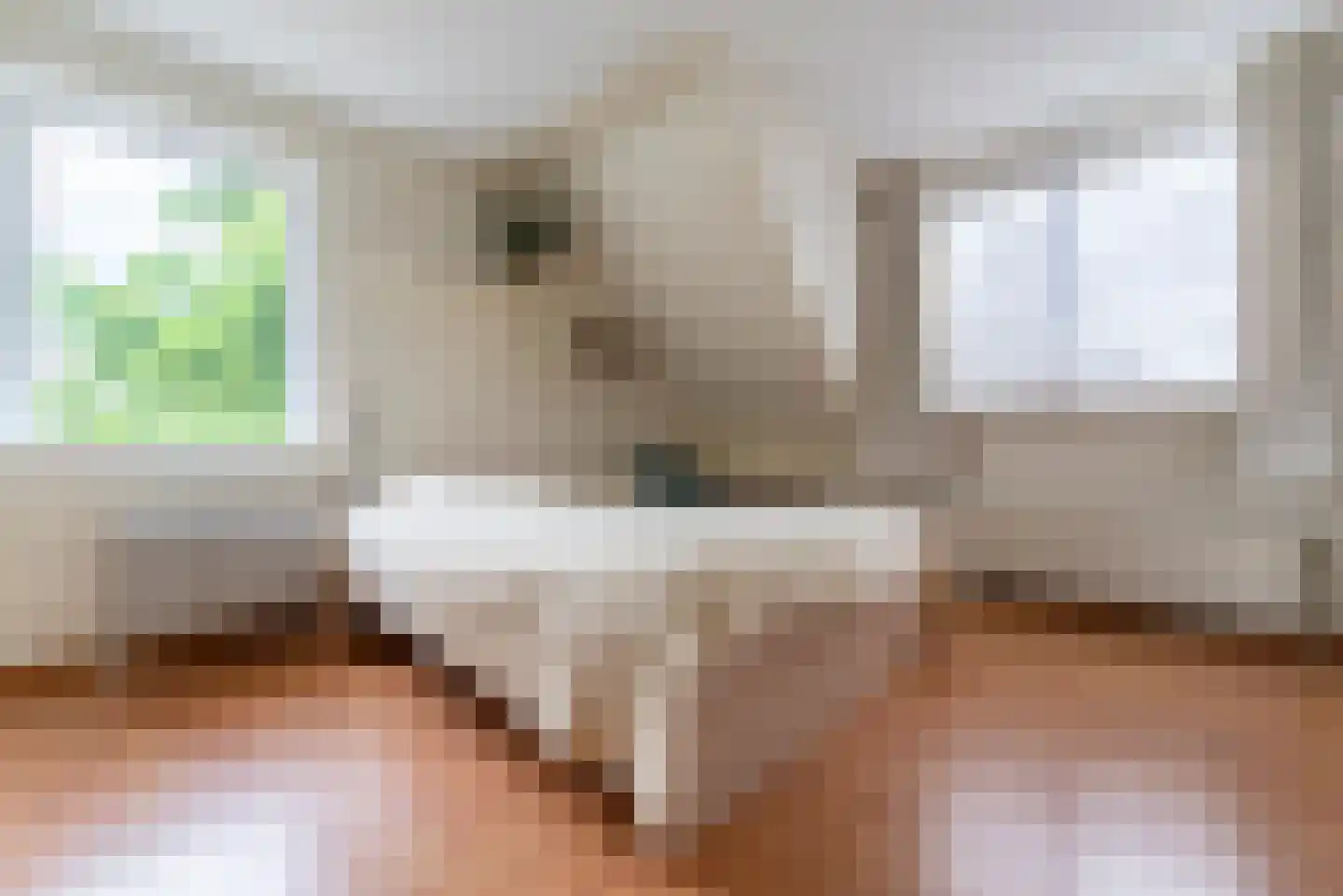 Houtvesterlaan 13 Veenendaal thumbnail 20