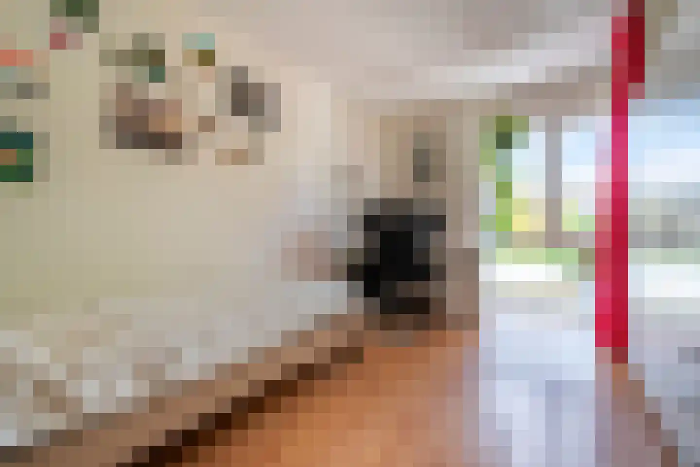Houtvesterlaan 13 Veenendaal thumbnail 24