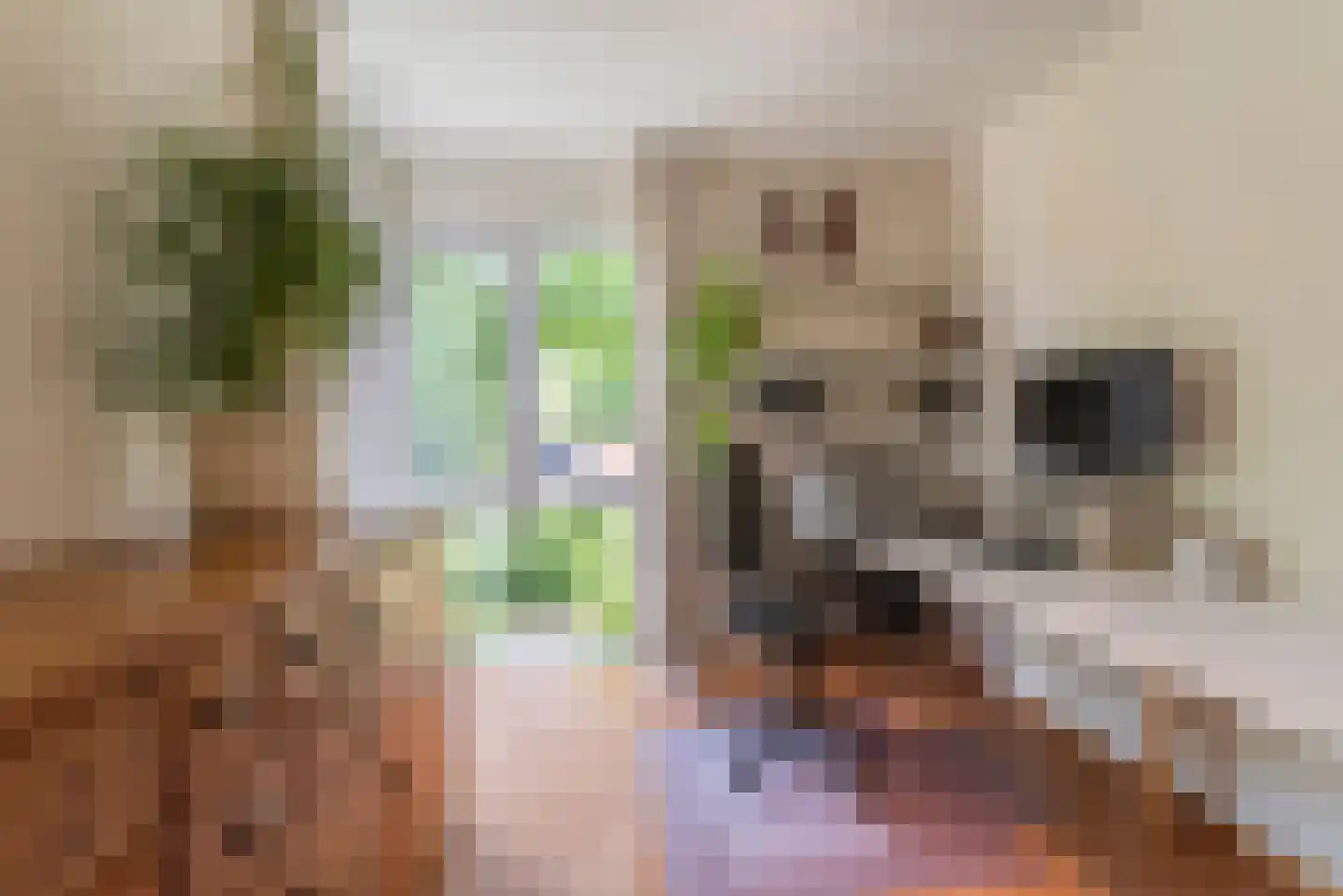 Houtvesterlaan 13 Veenendaal thumbnail 26