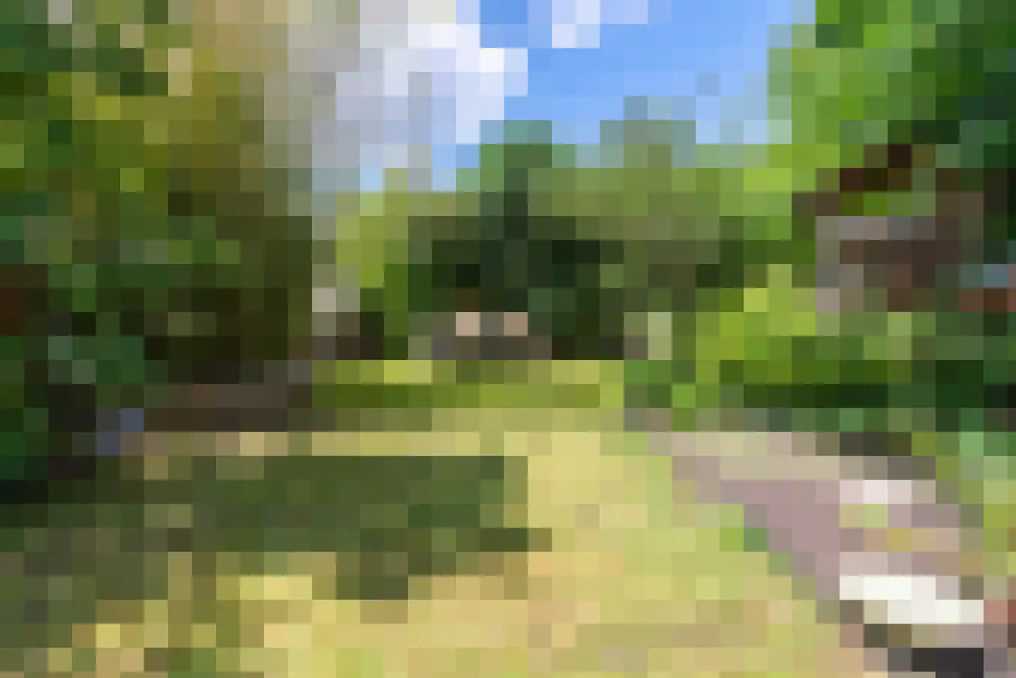 Houtvesterlaan 13 Veenendaal thumbnail 42