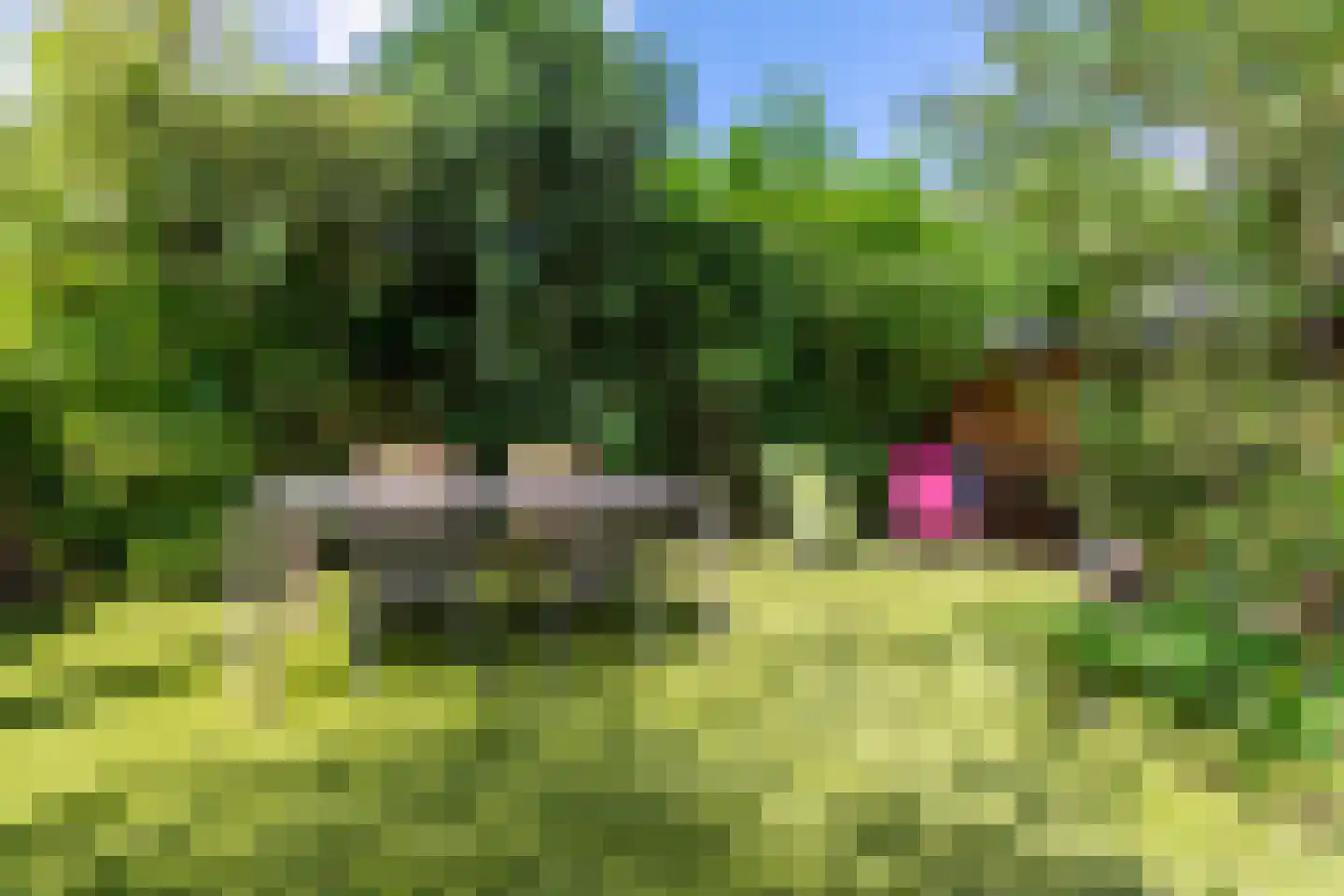 Houtvesterlaan 13 Veenendaal thumbnail 43