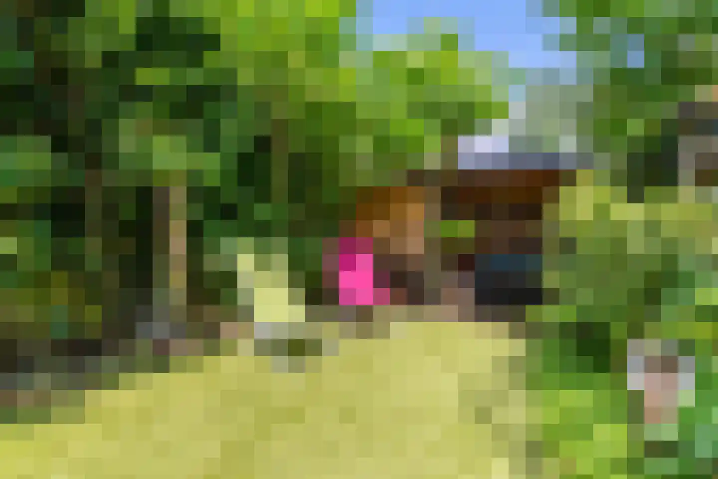 Houtvesterlaan 13 Veenendaal thumbnail 44