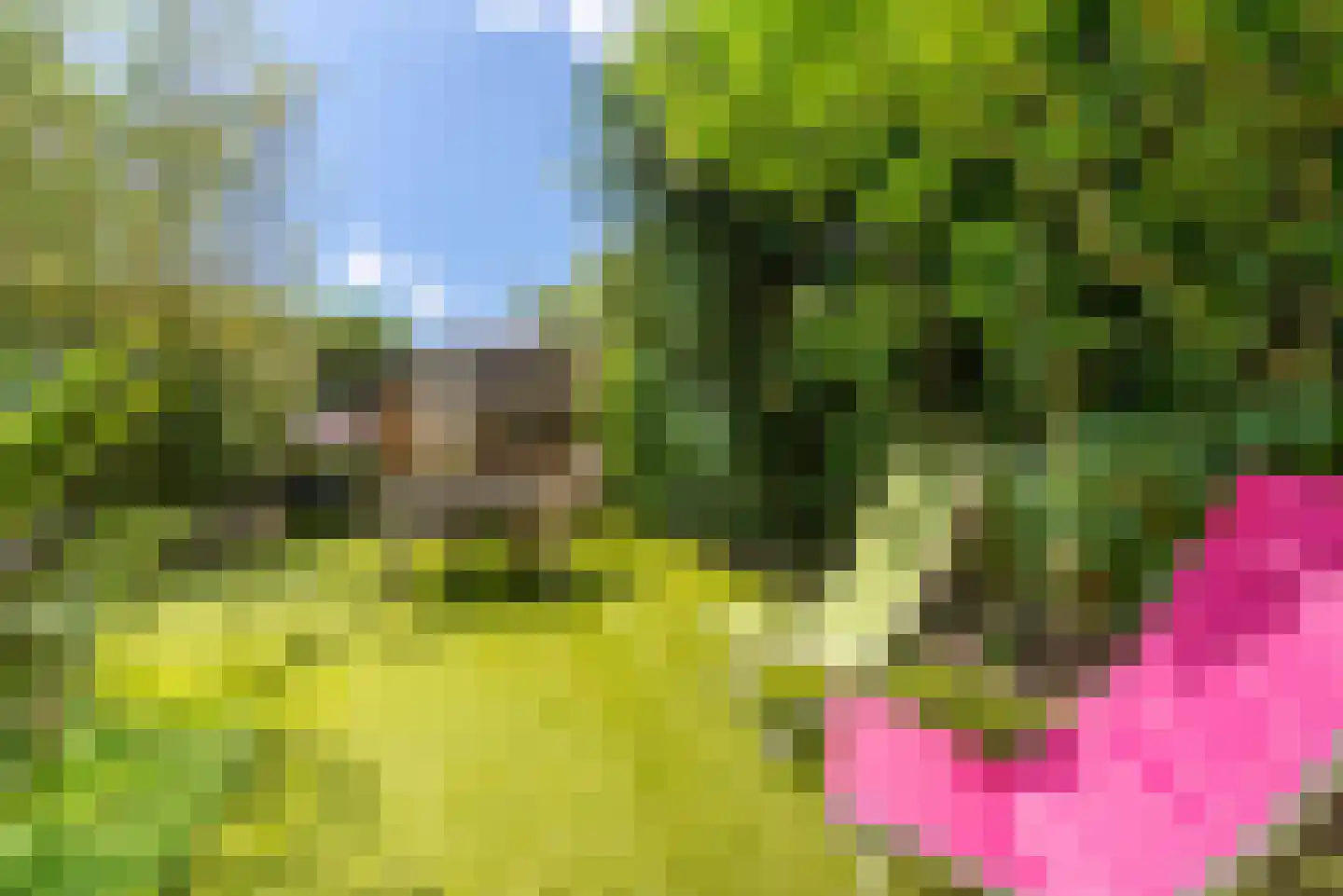 Houtvesterlaan 13 Veenendaal thumbnail 47