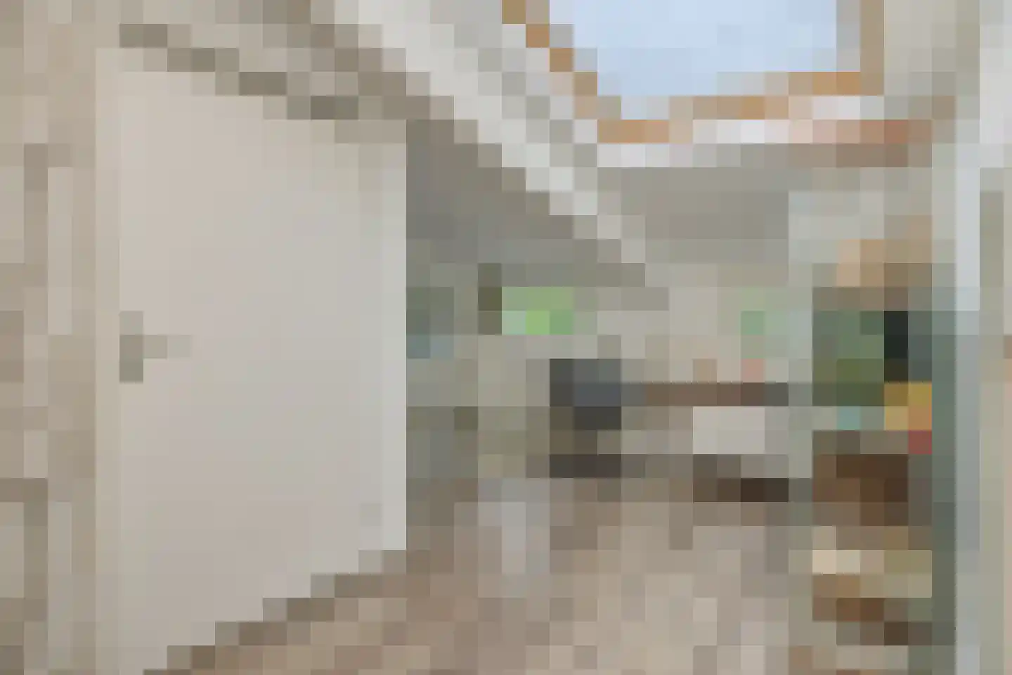 Houtvesterstraat 49 Rosmalen thumbnail 26