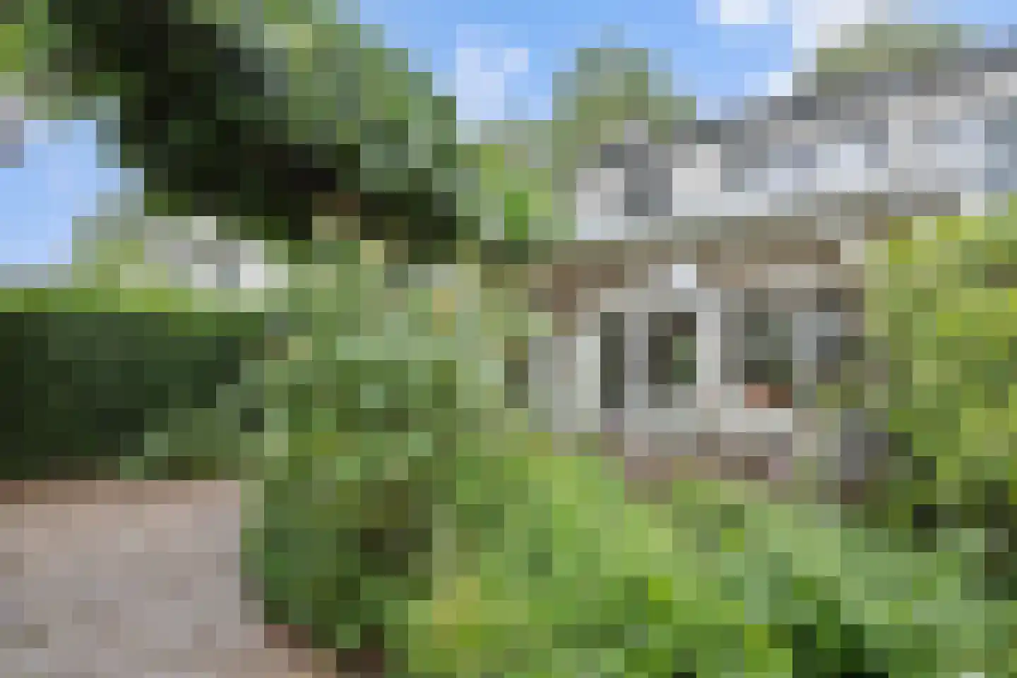Houtvesterstraat 49 Rosmalen thumbnail 30