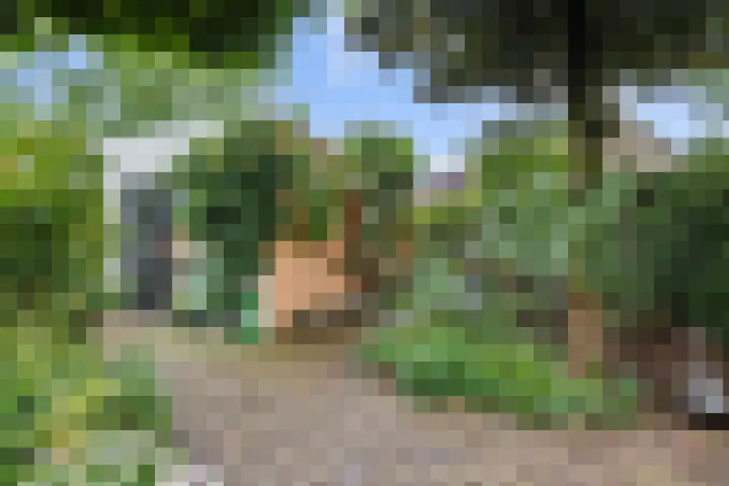 Houtvesterstraat 49 Rosmalen thumbnail 32