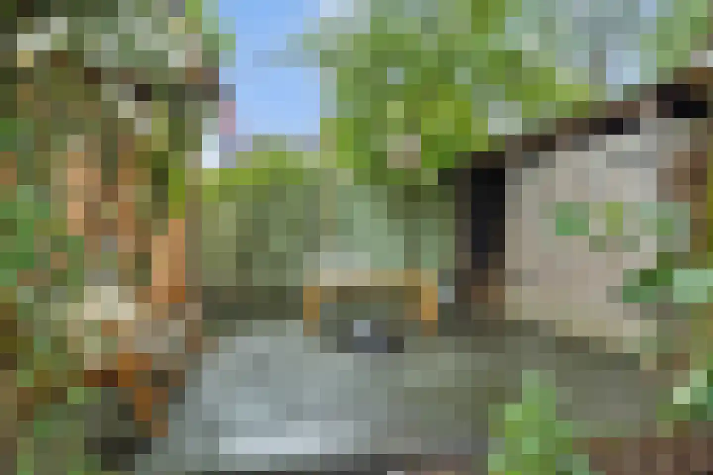 Houtvesterstraat 49 Rosmalen thumbnail 33