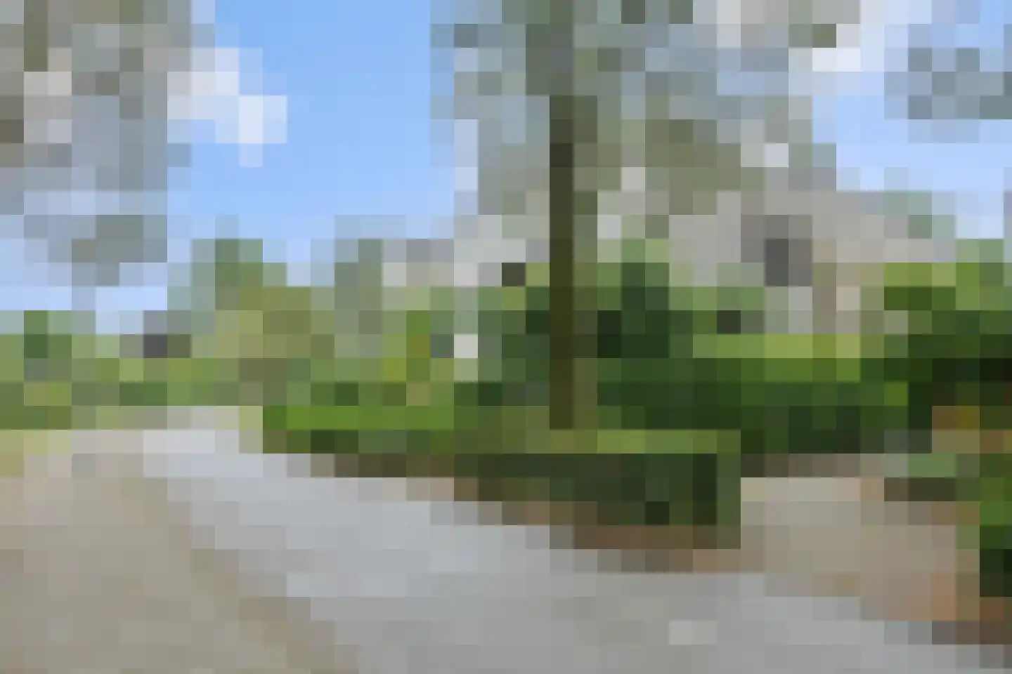 Houtvesterstraat 49 Rosmalen thumbnail 36
