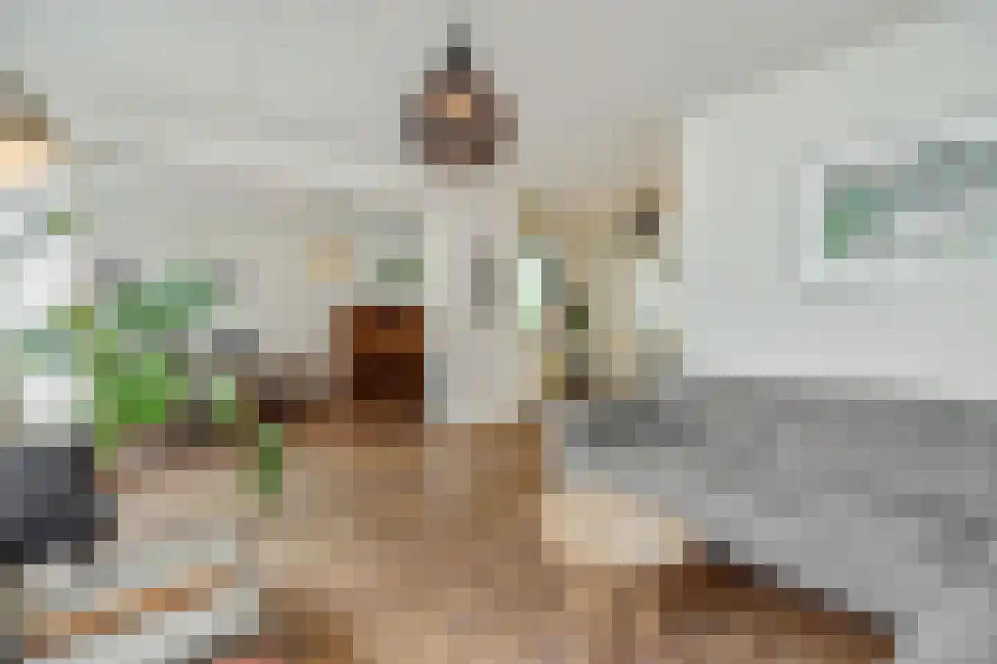 Houtvesterstraat 49 Rosmalen thumbnail 5