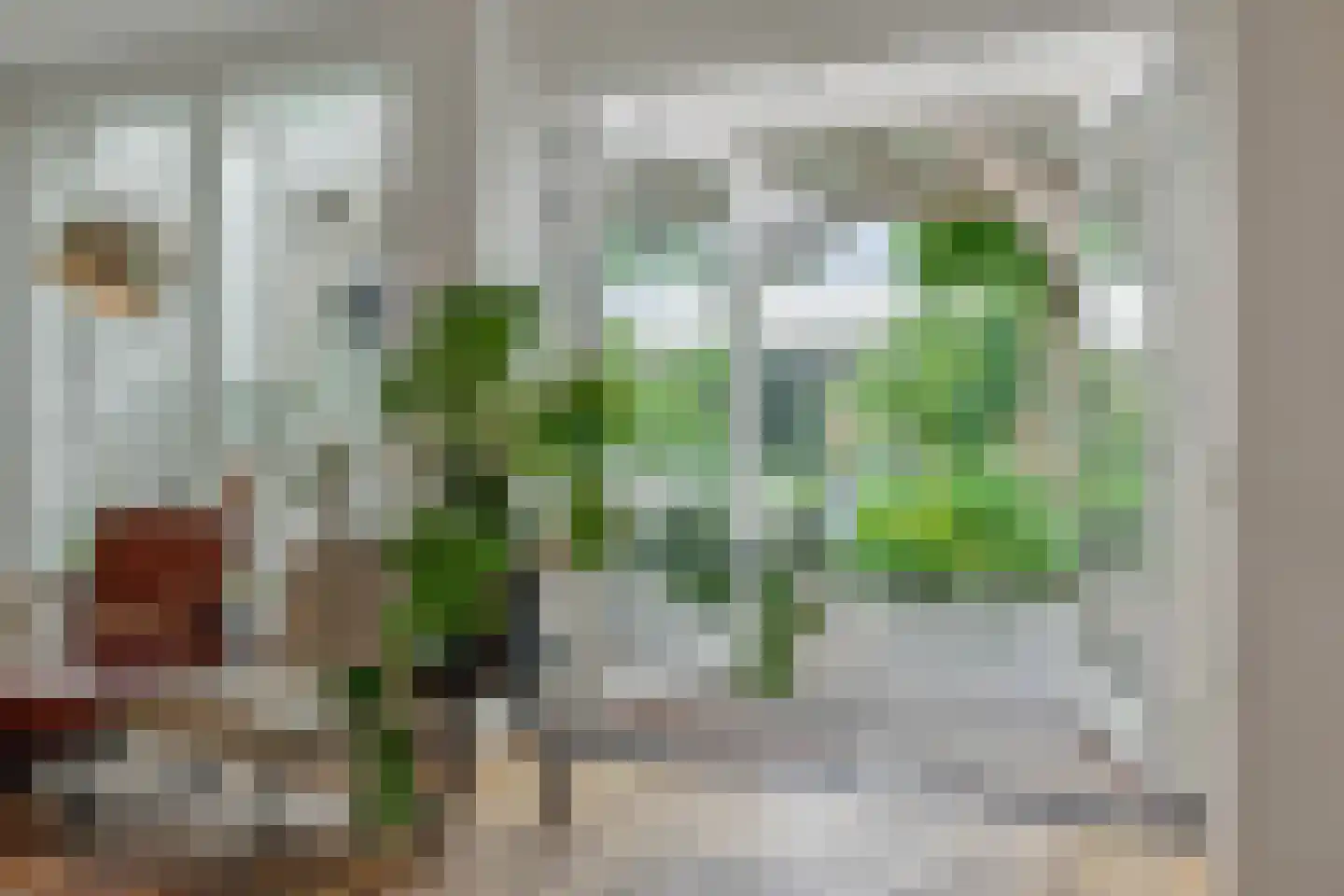Houtvesterstraat 49 Rosmalen thumbnail 6