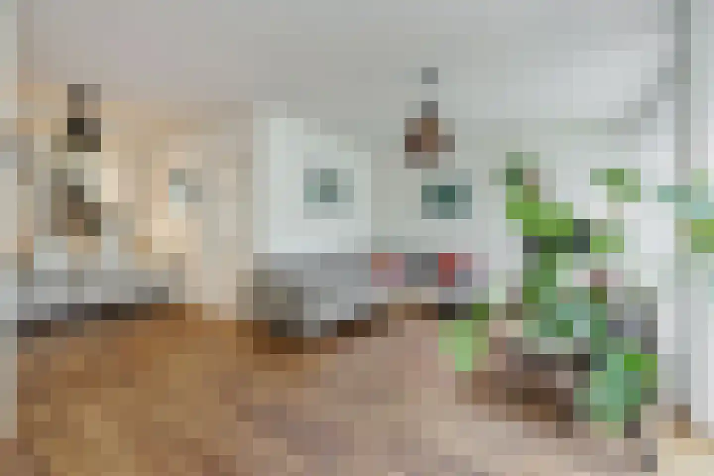 Houtvesterstraat 49 Rosmalen thumbnail 8