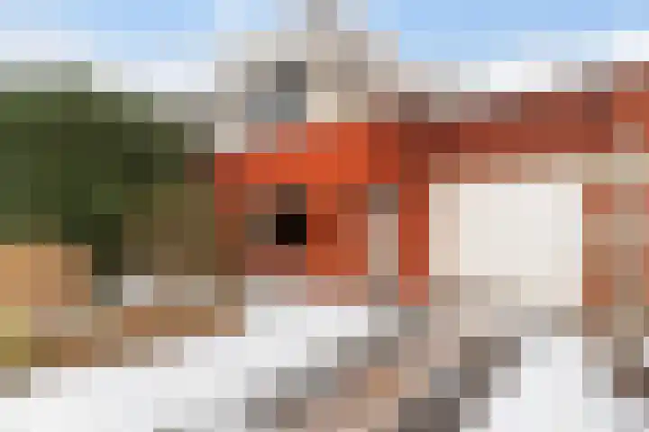 Houtwal 15 Zeewolde thumbnail 4