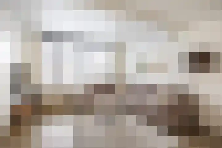 Houtwal 18 Niekerk thumbnail 11