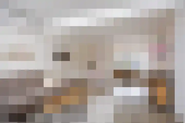 Houtwal 18 Niekerk thumbnail 12