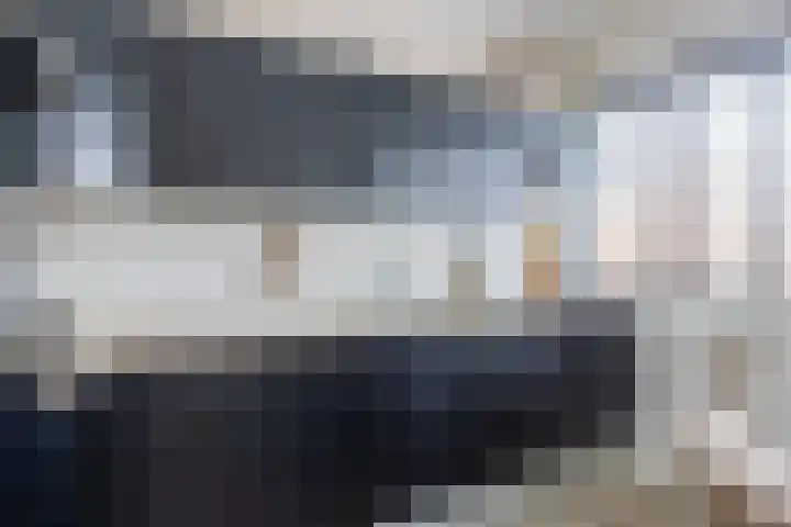 Houtwal 18 Niekerk thumbnail 16