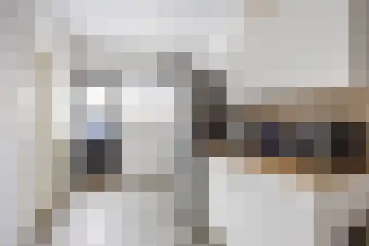 Houtwal 18 Niekerk thumbnail 18