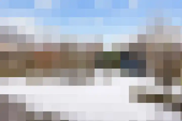 Houtwal 18 Niekerk thumbnail 28