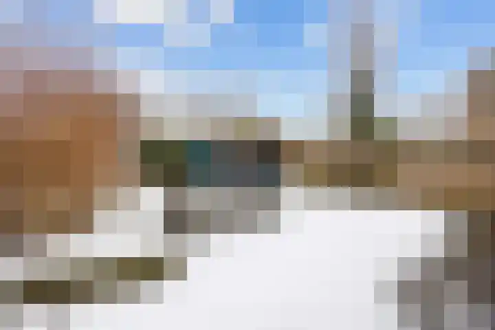 Houtwal 18 Niekerk thumbnail 30