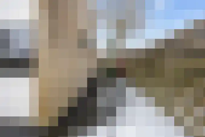 Houtwal 18 Niekerk thumbnail 31