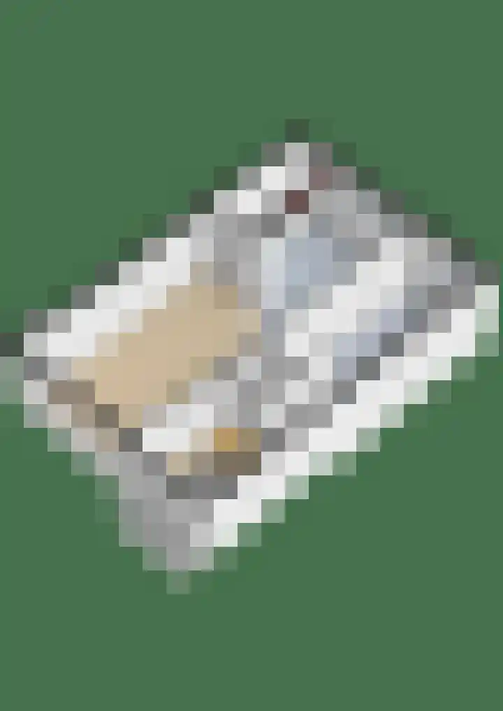 Houtwal 18 Niekerk thumbnail 35
